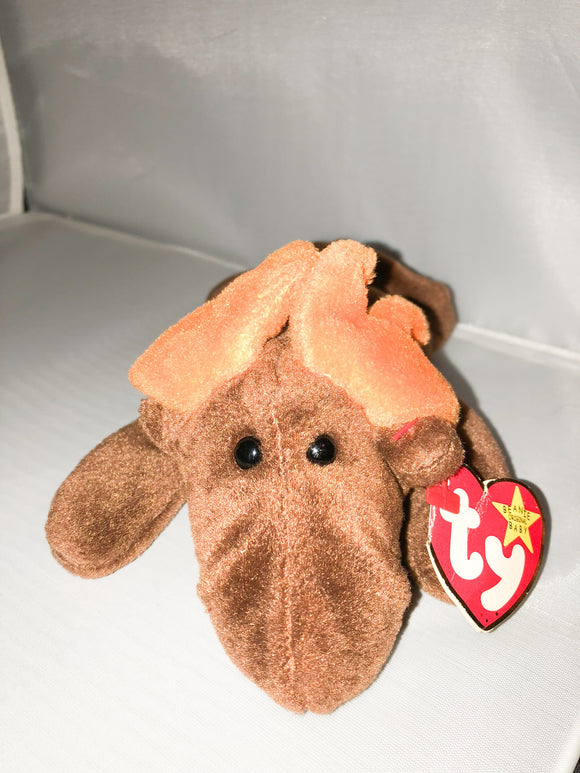 Chocolate - TY Beanie Baby