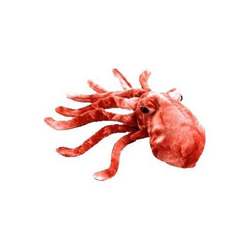 Wiggly - TY Beanie Baby